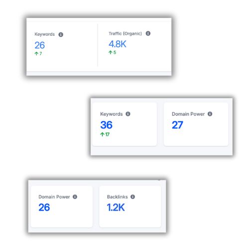 Website Rankings Growth Chart